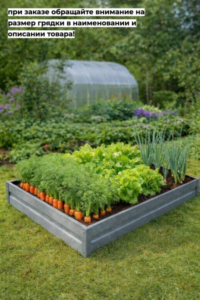 грядка цинк 1