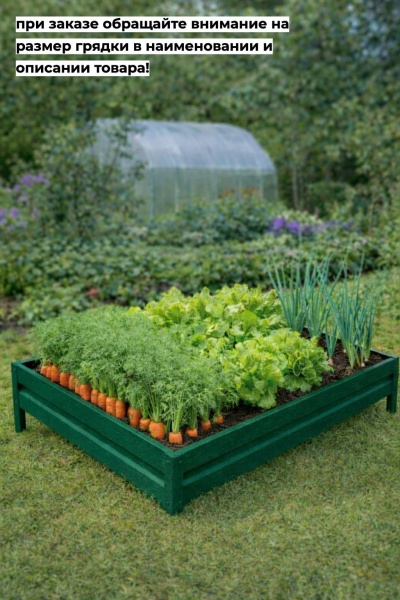 грядка зеленая 1