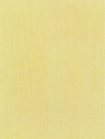 Пленка самоклеящаяся Hongda 8072*24 (0.45*8м)